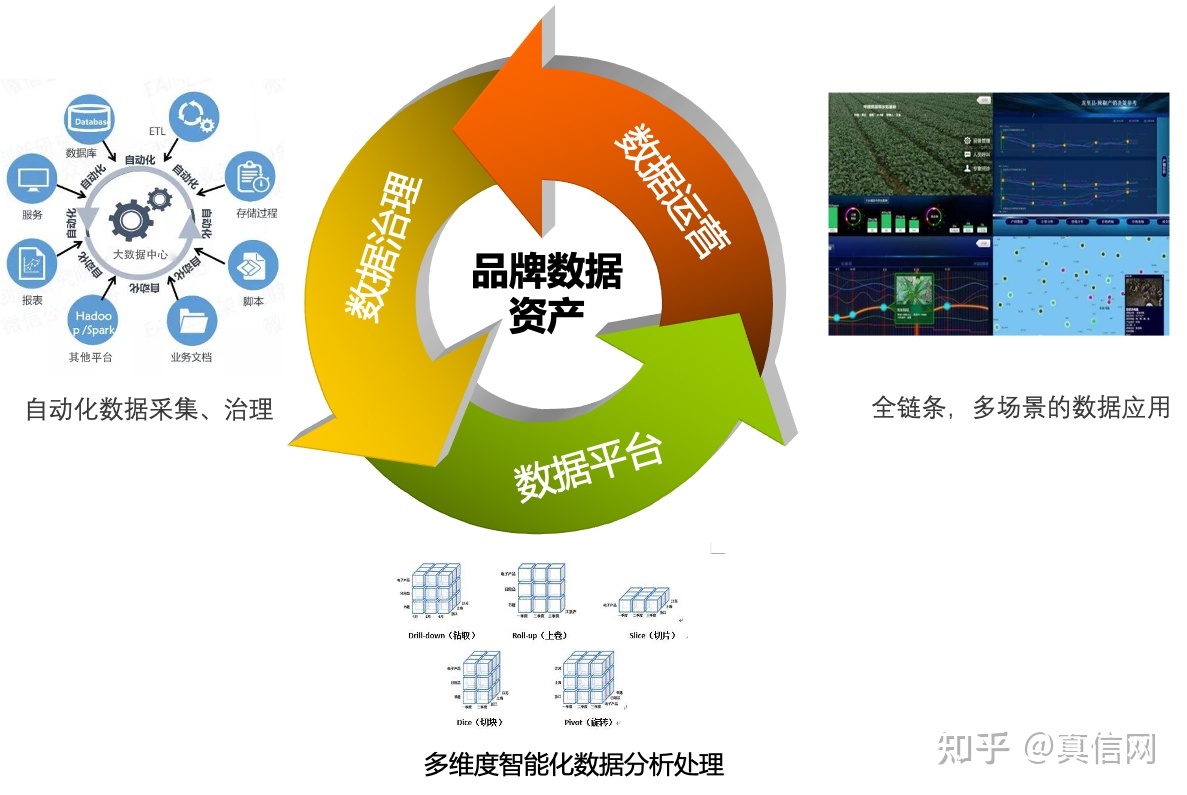 真信觀察 從戰術到戰略——品牌的數字化轉型之路