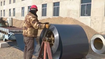 【政協委員風采】顧書高 興辦實業做貢獻 履職盡責有擔當